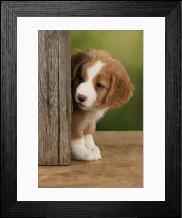 Framed Print : Picture No. 10947028 Framed Print : Picture No. 10947028