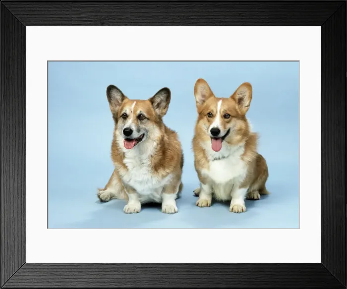 Framed Print : Picture No. 10947029 Framed Print : Picture No. 10947029