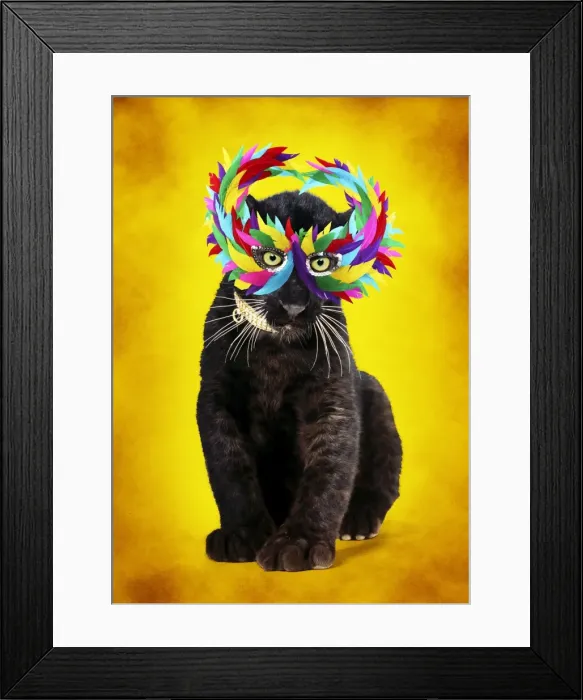 Framed Print : Picture No. 10947033 Framed Print : Picture No. 10947033