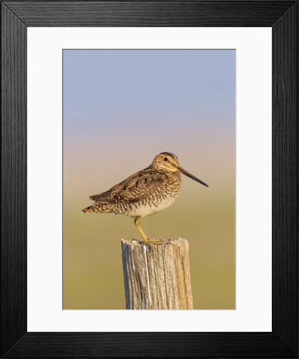 Framed Print : Picture No. 10947068 Framed Print : Picture No. 10947068