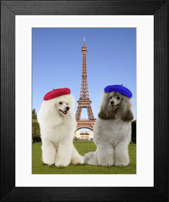 Framed Print : Picture No. 10947075 Framed Print : Picture No. 10947075