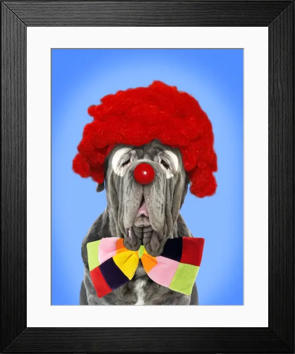 Framed Print : Picture No. 10947078 Framed Print : Picture No. 10947078