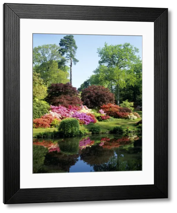 Framed Print : Picture No. 10947082 Framed Print : Picture No. 10947082