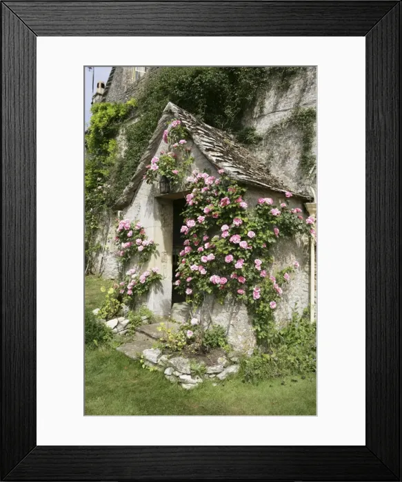 Framed Print : Picture No. 10947087 Framed Print : Picture No. 10947087