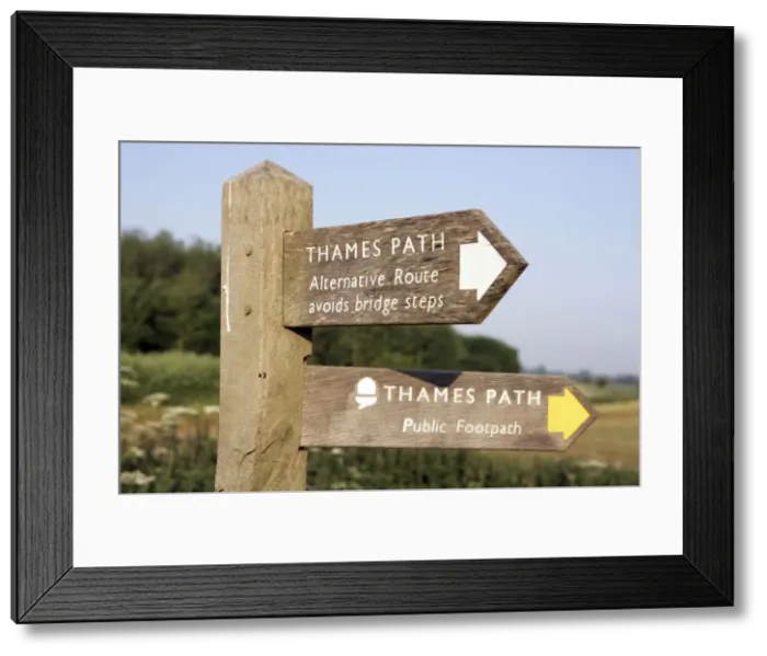 Framed Print : Picture No. 10947091 Framed Print : Picture No. 10947091