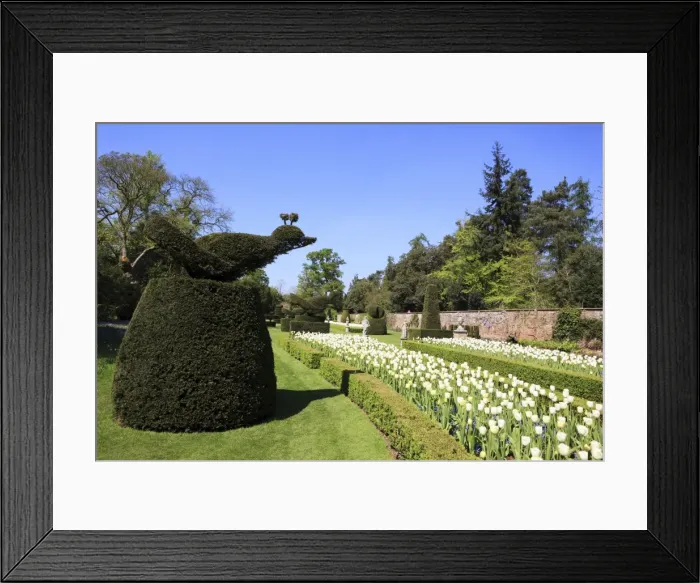 Framed Print : Picture No. 10947092 Framed Print : Picture No. 10947092