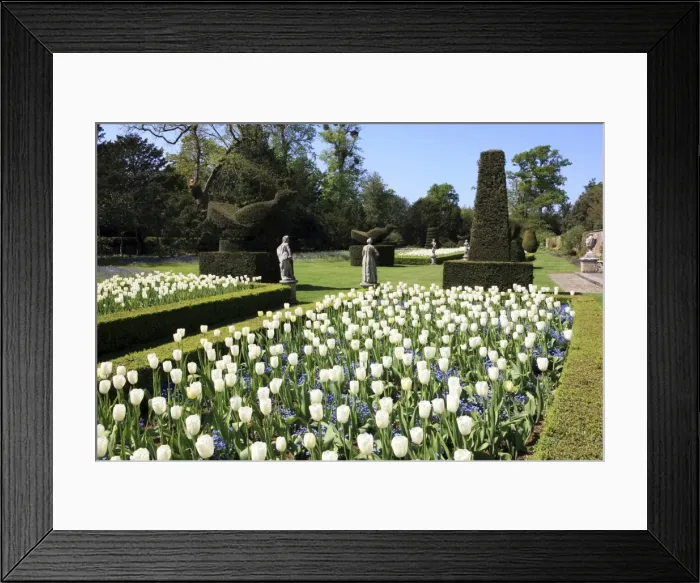 Framed Print : Picture No. 10947093