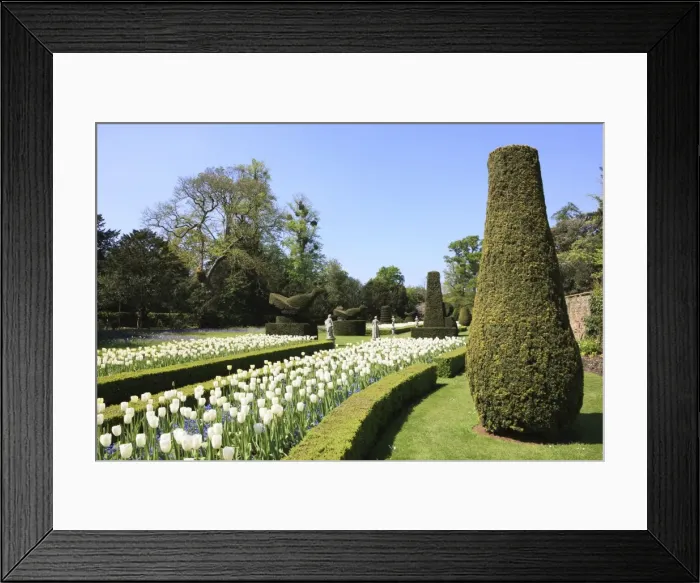 Framed Print : Picture No. 10947095 Framed Print : Picture No. 10947095