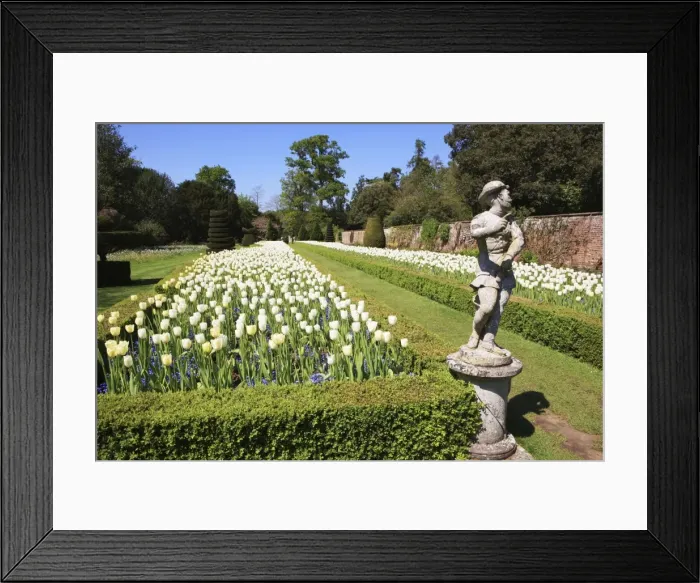Framed Print : Picture No. 10947094 Framed Print : Picture No. 10947094
