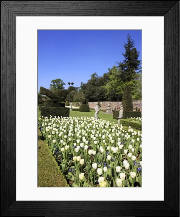 Framed Print : Picture No. 10947096 Framed Print : Picture No. 10947096