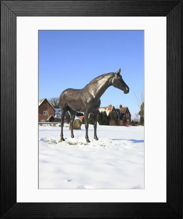 Framed Print : Picture No. 10947103 Framed Print : Picture No. 10947103