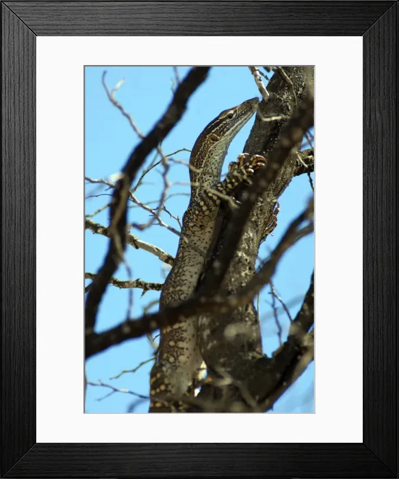 Framed Print : Picture No. 10947313 Framed Print : Picture No. 10947313