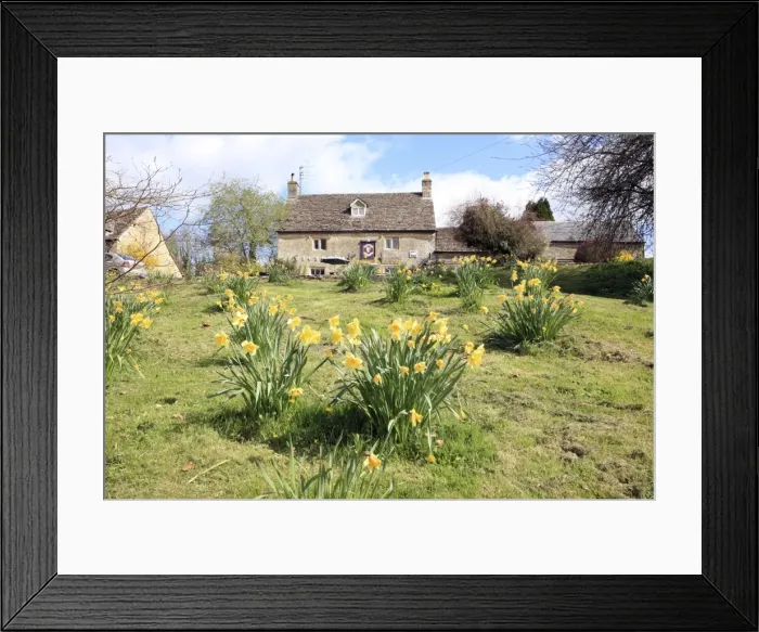 Framed Print : Picture No. 10947105