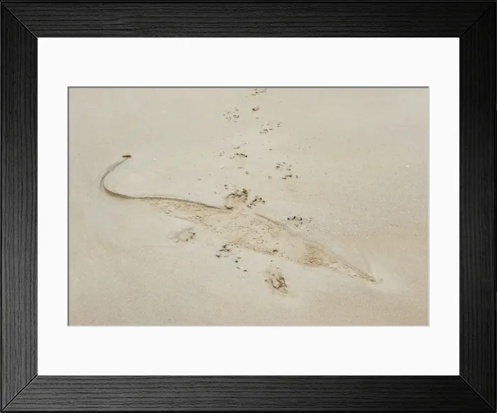 Framed Print : Picture No. 10947314 Framed Print : Picture No. 10947314