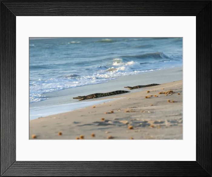 Framed Print : Picture No. 10947319 Framed Print : Picture No. 10947319