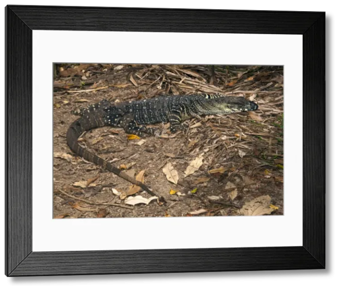 Framed Print : Picture No. 10947324 Framed Print : Picture No. 10947324