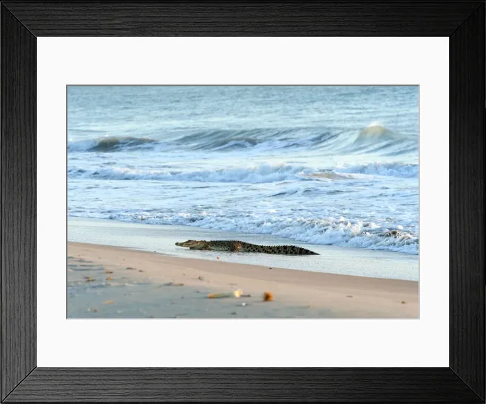 Framed Print : Picture No. 10947346 Framed Print : Picture No. 10947346