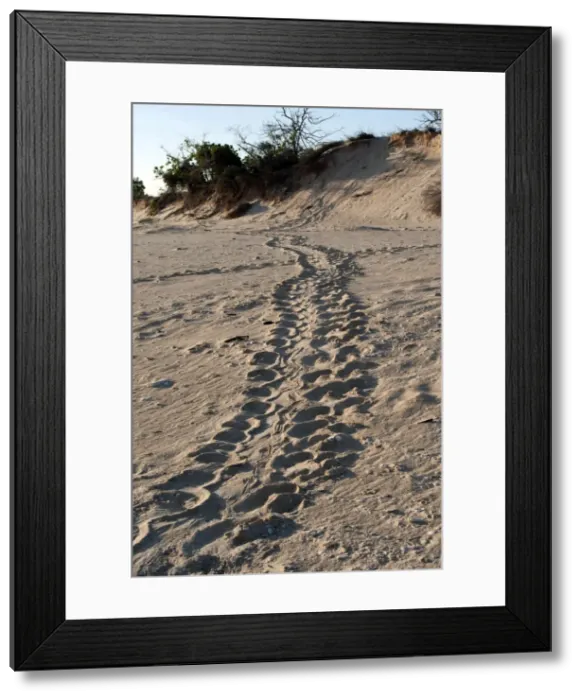 Framed Print : Picture No. 10947350 Framed Print : Picture No. 10947350
