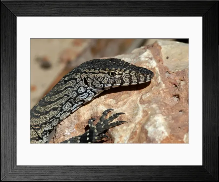 Framed Print : Picture No. 10947347 Framed Print : Picture No. 10947347