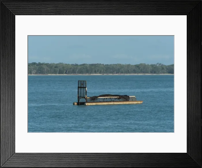 Framed Print : Picture No. 10947352