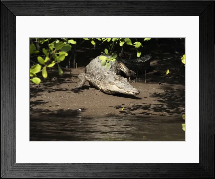 Framed Print : Picture No. 10947351 Framed Print : Picture No. 10947351