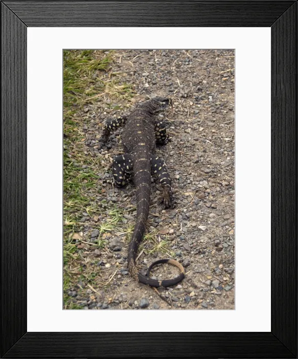 Framed Print : Picture No. 10947359 Framed Print : Picture No. 10947359
