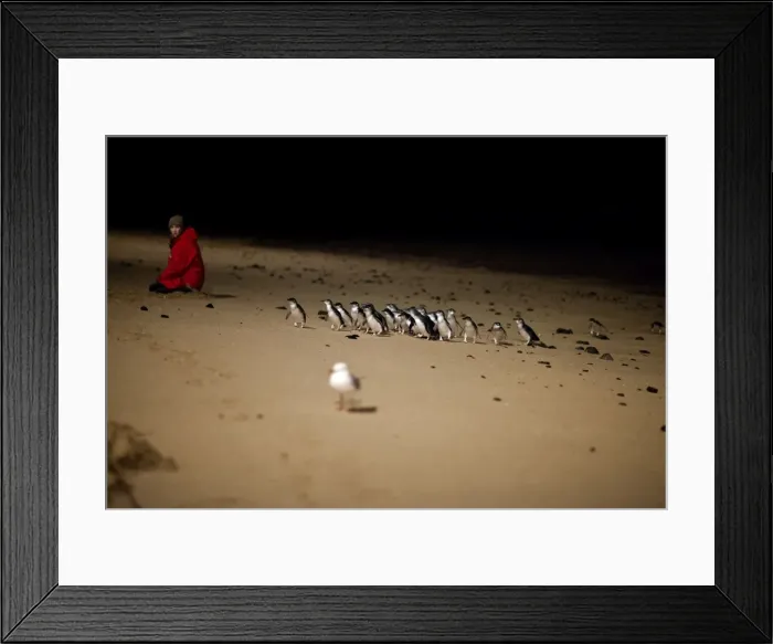 Framed Print : Picture No. 10947379 Framed Print : Picture No. 10947379