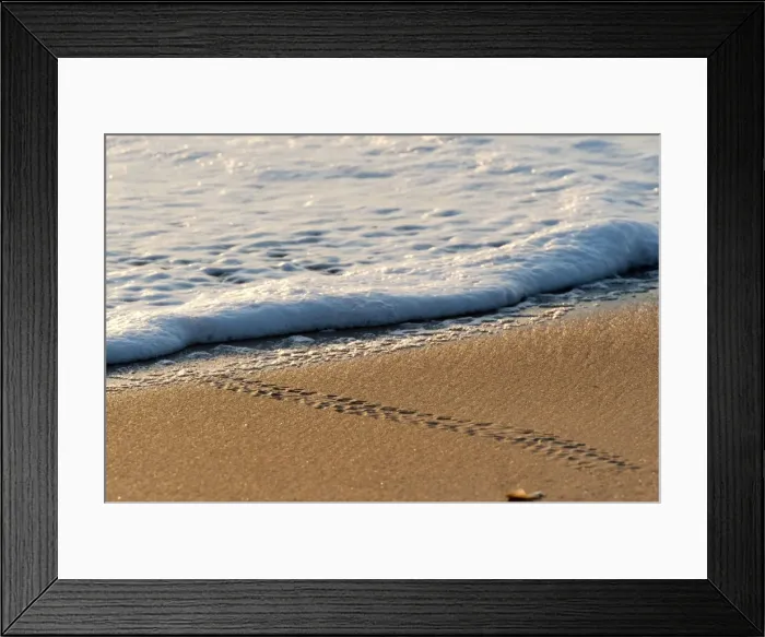 Framed Print : Picture No. 10947361 Framed Print : Picture No. 10947361