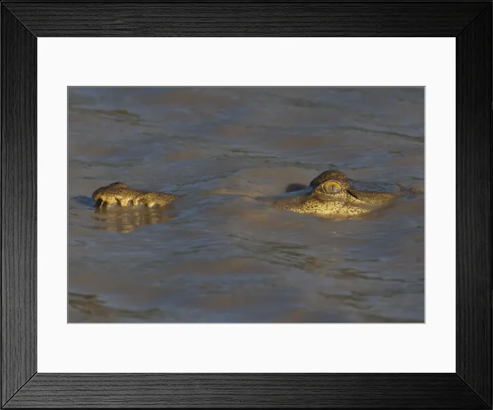 Framed Print : Picture No. 10947360 Framed Print : Picture No. 10947360