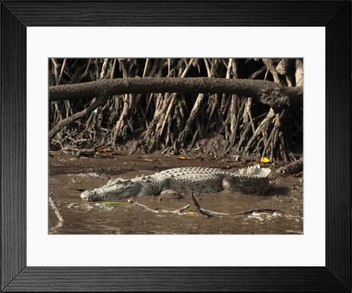 Framed Print : Picture No. 10947363 Framed Print : Picture No. 10947363