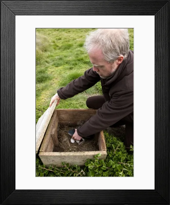 Framed Print : Picture No. 10947378 Framed Print : Picture No. 10947378