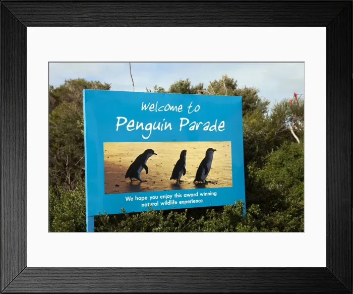 Framed Print : Picture No. 10947380 Framed Print : Picture No. 10947380