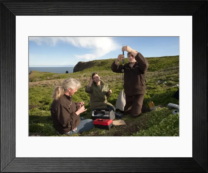 Framed Print : Picture No. 10947393 Framed Print : Picture No. 10947393