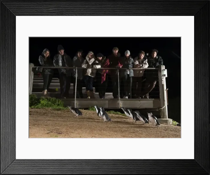 Framed Print : Picture No. 10947398 Framed Print : Picture No. 10947398