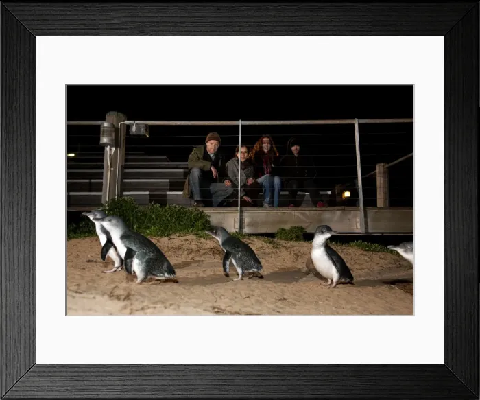 Framed Print : Picture No. 10947397 Framed Print : Picture No. 10947397