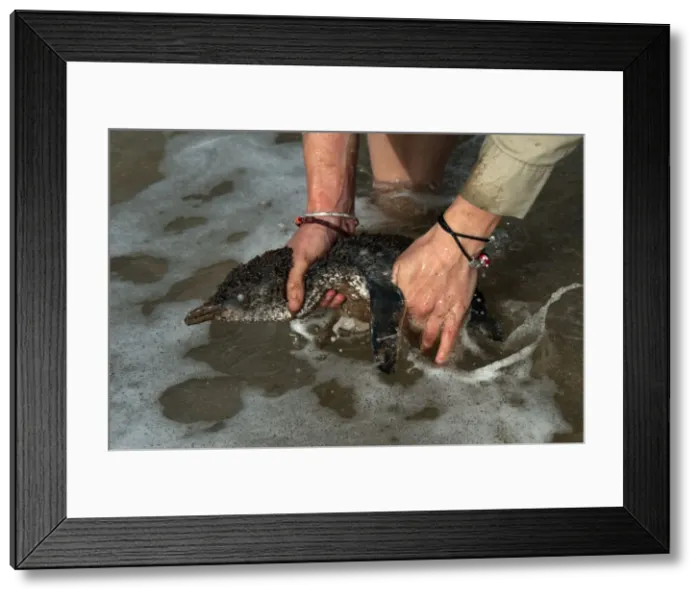 Framed Print : Picture No. 10947399