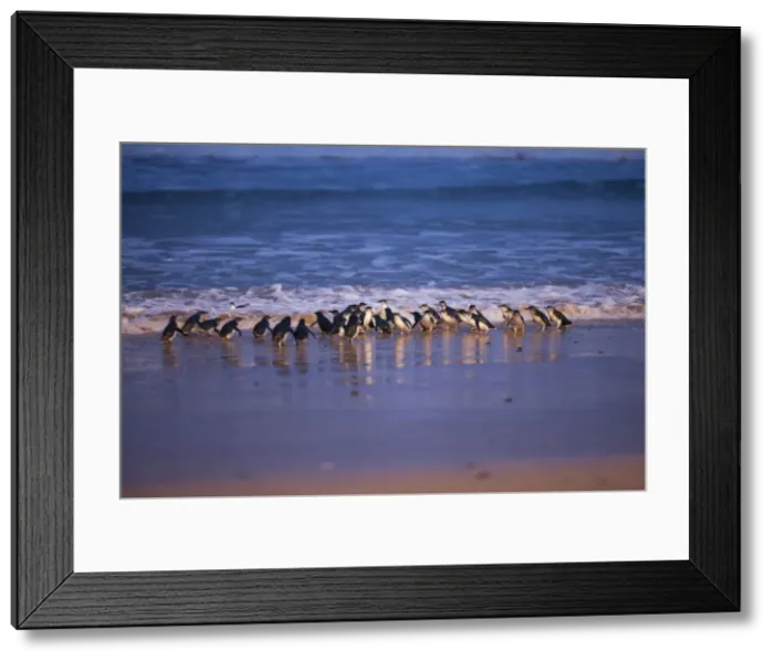 Framed Print : Picture No. 10947400 Framed Print : Picture No. 10947400
