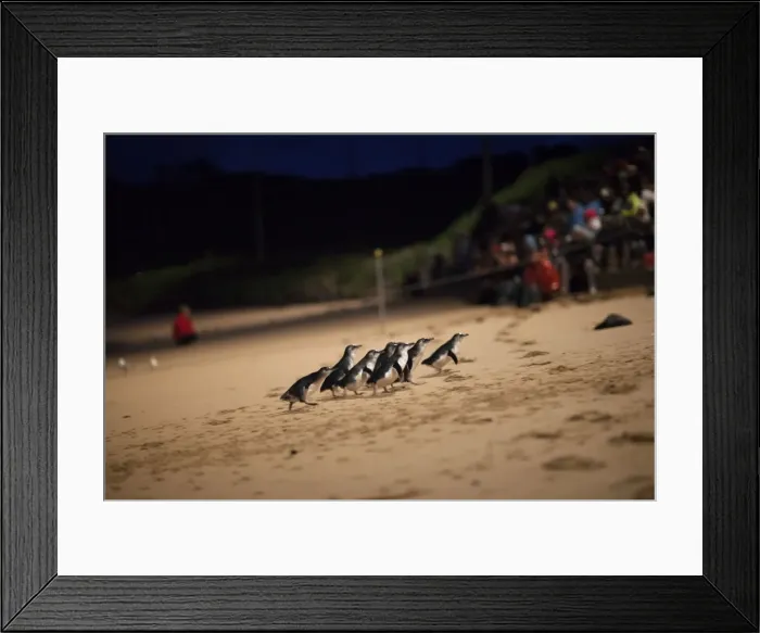 Framed Print : Picture No. 10947402 Framed Print : Picture No. 10947402