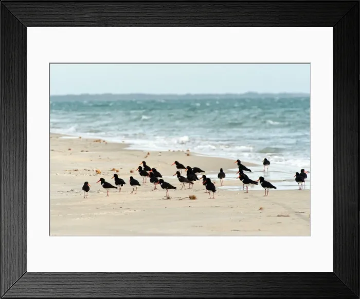 Framed Print : Picture No. 10947411 Framed Print : Picture No. 10947411