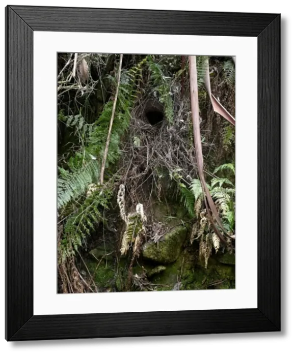 Framed Print : Picture No. 10947410 Framed Print : Picture No. 10947410