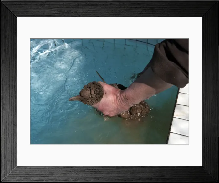 Framed Print : Picture No. 10947412 Framed Print : Picture No. 10947412