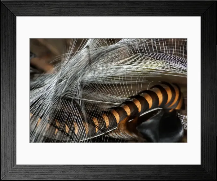 Framed Print : Picture No. 10947408 Framed Print : Picture No. 10947408