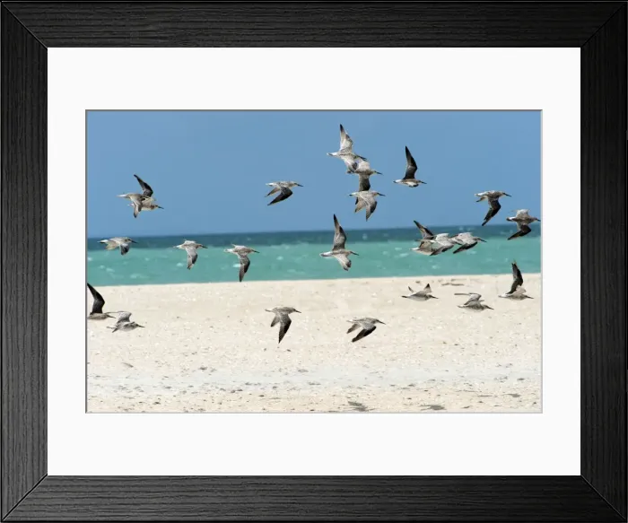 Framed Print : Picture No. 10947419 Framed Print : Picture No. 10947419