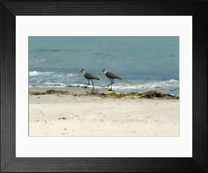 Framed Print : Picture No. 10947421 Framed Print : Picture No. 10947421
