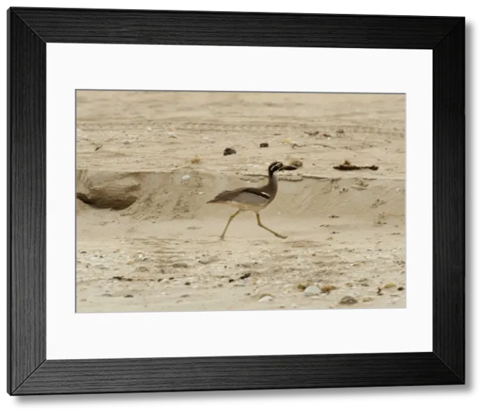 Framed Print : Picture No. 10947422 Framed Print : Picture No. 10947422