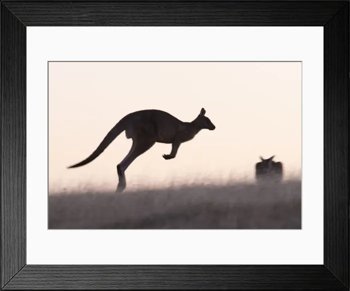 Framed Print : Picture No. 10947523 Framed Print : Picture No. 10947523