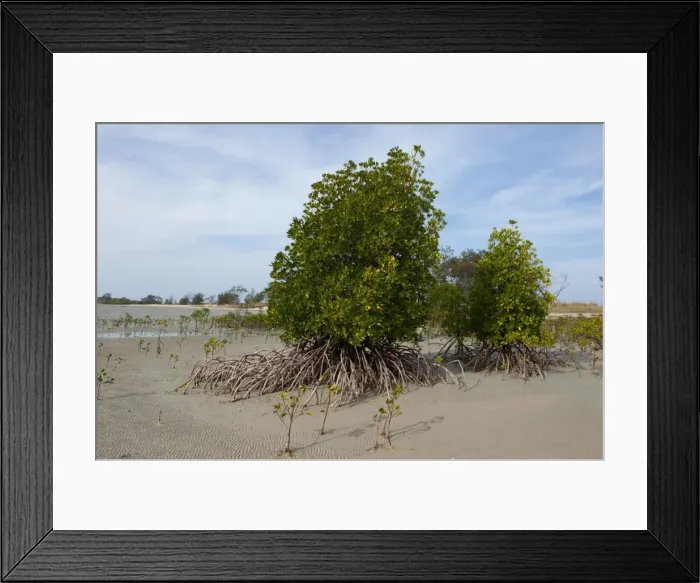 Framed Print : Picture No. 10947526 Framed Print : Picture No. 10947526