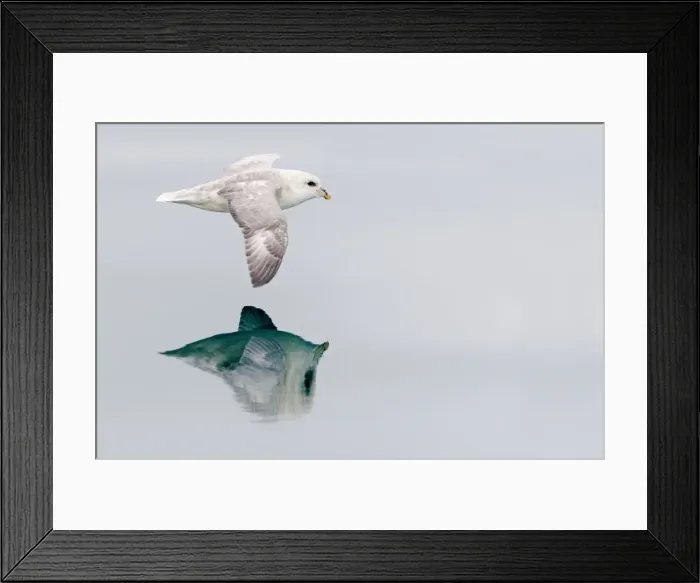 Framed Print : Picture No. 10947530 Framed Print : Picture No. 10947530