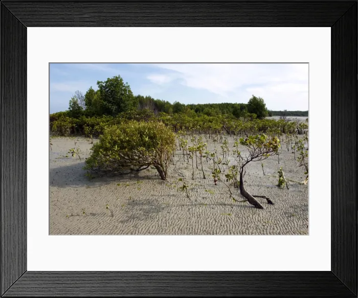 Framed Print : Picture No. 10947525 Framed Print : Picture No. 10947525