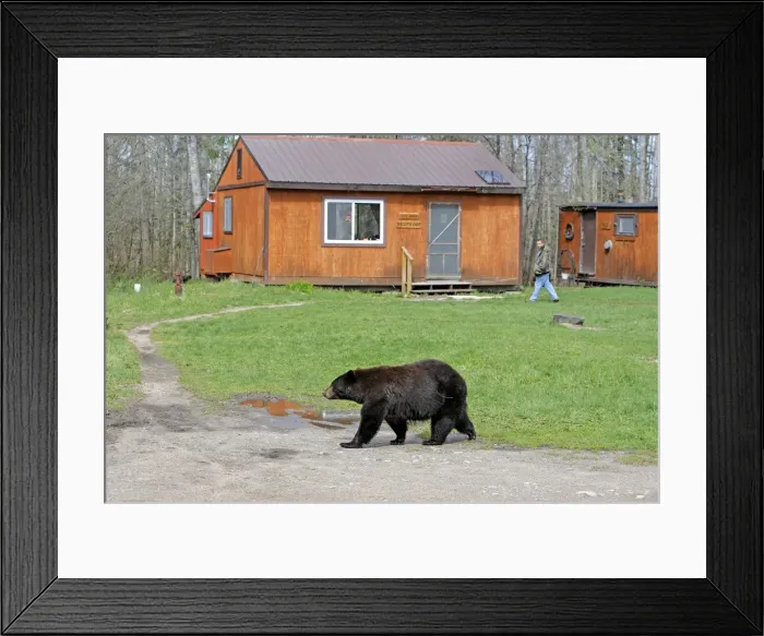 Framed Print : Picture No. 10947533 Framed Print : Picture No. 10947533